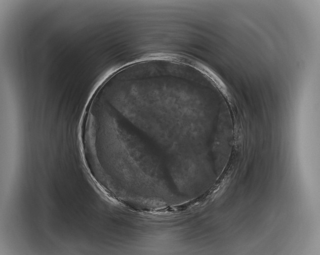 X0000116610907200912111131