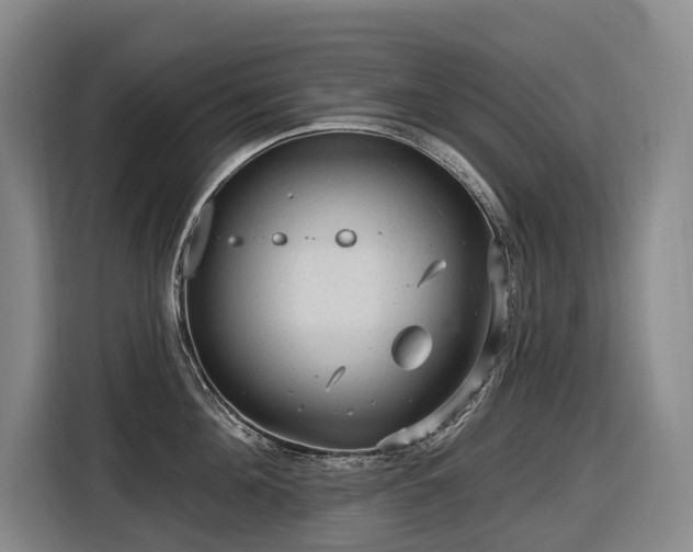 X0000116610908200912111131