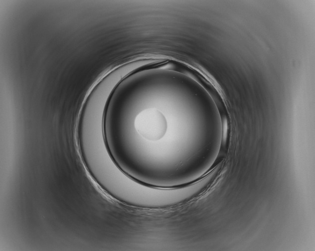 X0000116610909200912111131