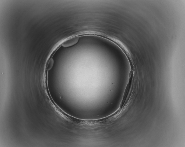 X0000116610910200912111131