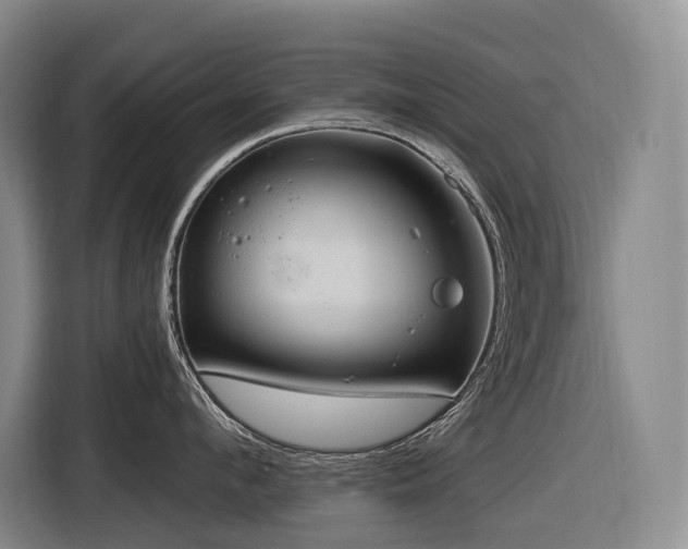 X0000116610912200912111131