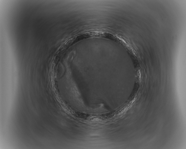 X0000116610913200912111131