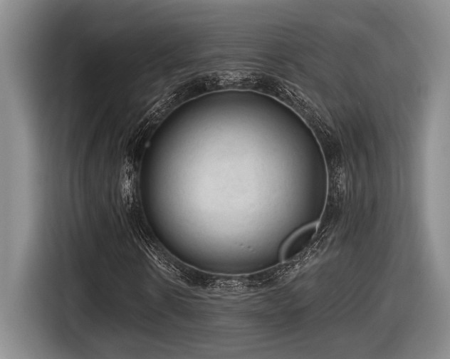 X0000116610914200912111131