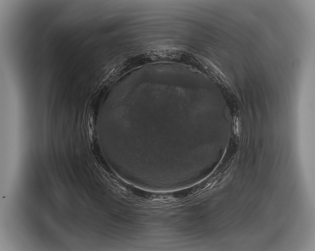 X0000116610915200912111131