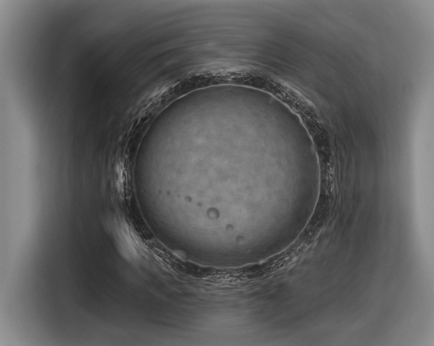 X0000116610917200912111131