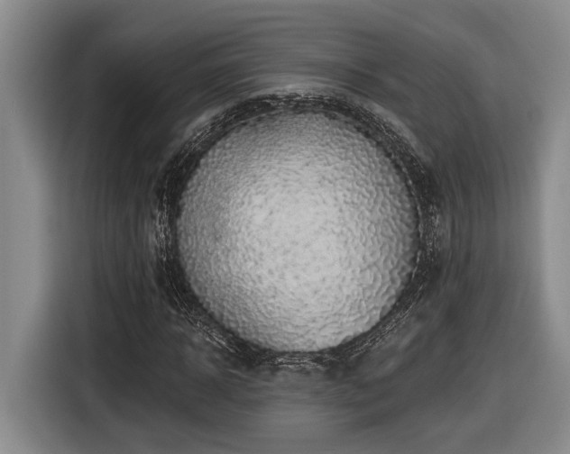 X0000116610918200912111131