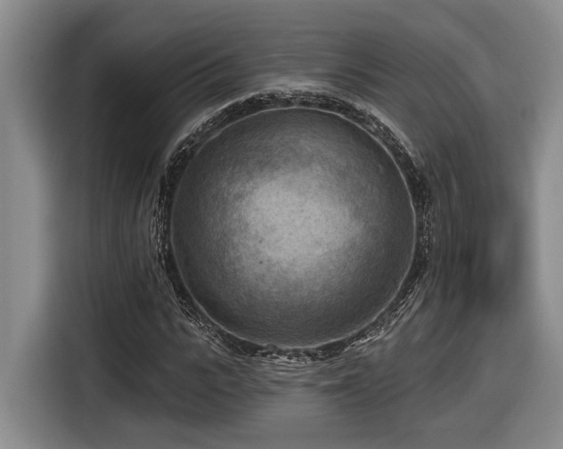 X0000116610919200912111131