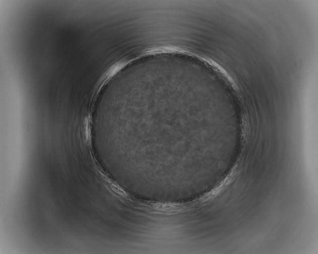 X0000116610921200912111131