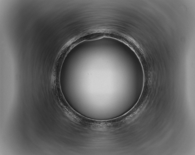 X0000116610922200912111131