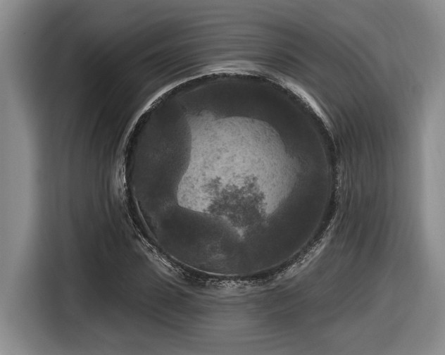 X0000116610923200912111131