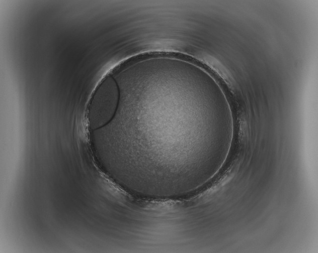 X0000116610926200912111131
