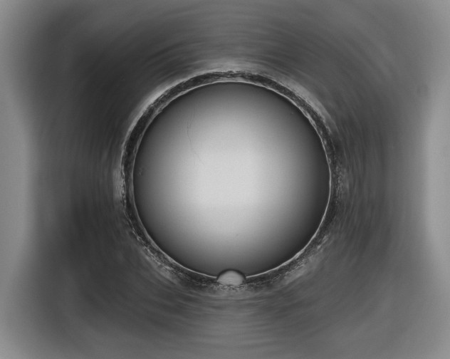 X0000116610927200912111131