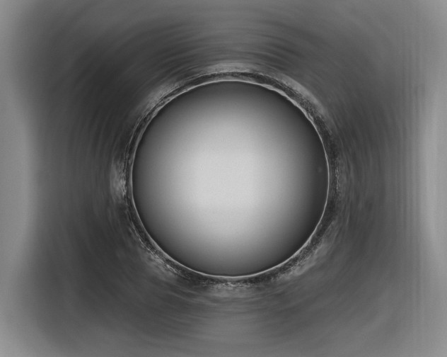 X0000116610929200912111131