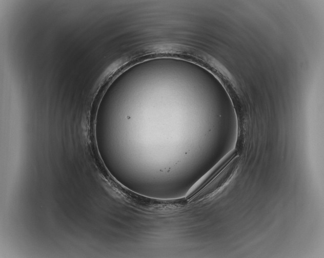 X0000116610930200912111131