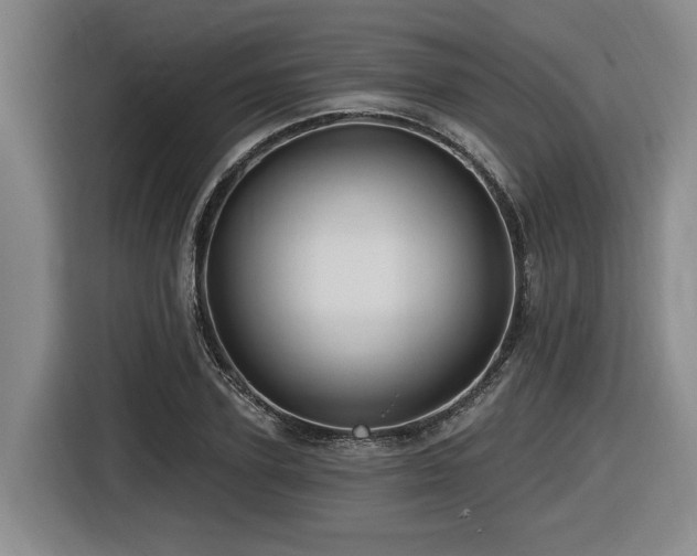 X0000116610931200912111131