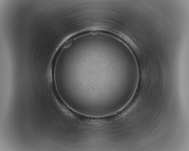 X0000116610934200912111131