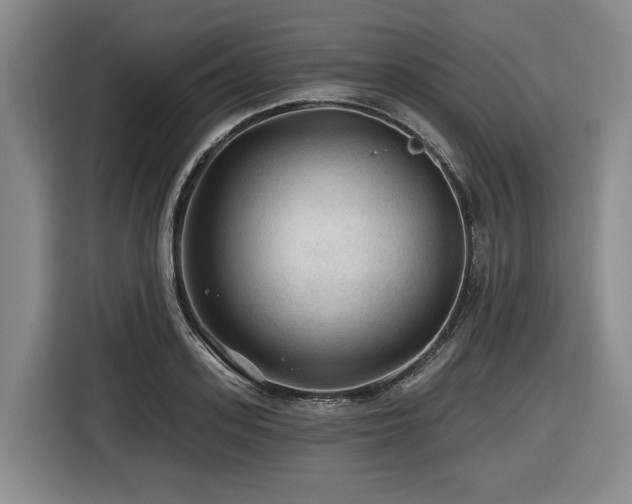 X0000116610939200912111131