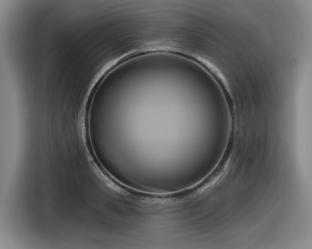 X0000116610941200912111131