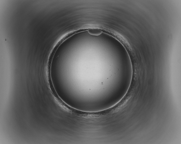 X0000116610942200912111131