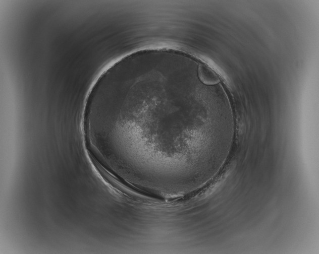X0000116610943200912111131