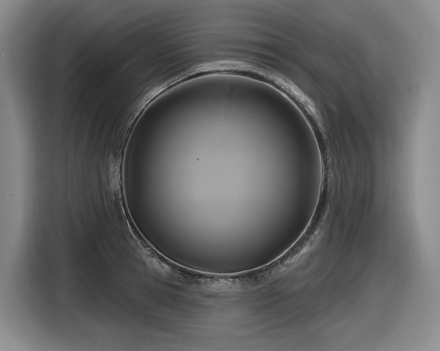 X0000116610945200912111131