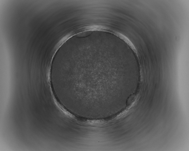 X0000116610946200912111131
