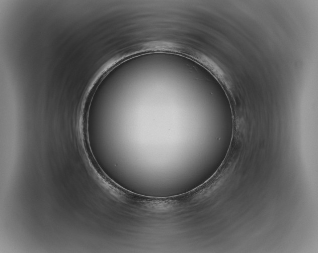 X0000116610947200912111131