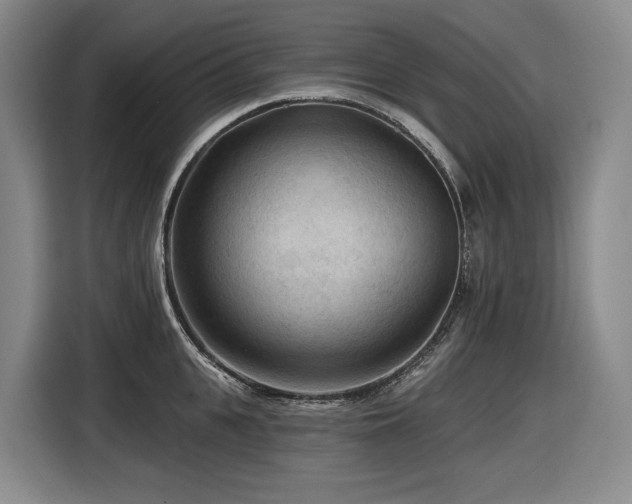 X0000116610951200912111131