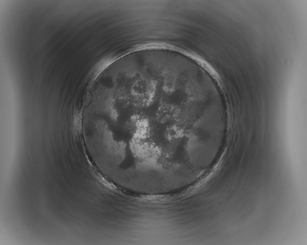 X0000116610953200912111131
