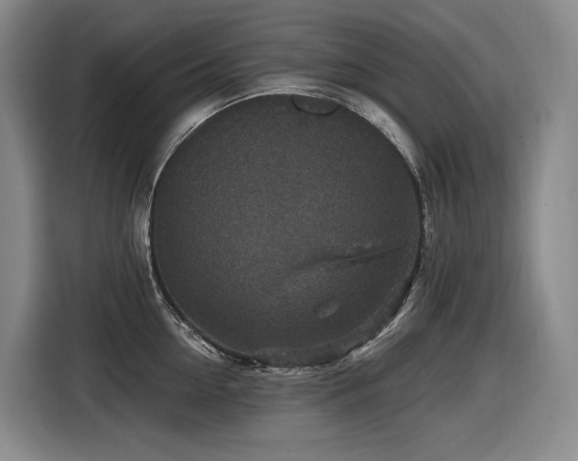 X0000116610954200912111131