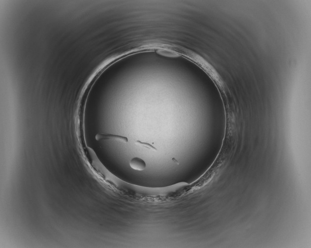 X0000116610955200912111131