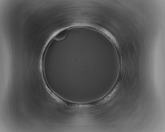 X0000116610958200912111131