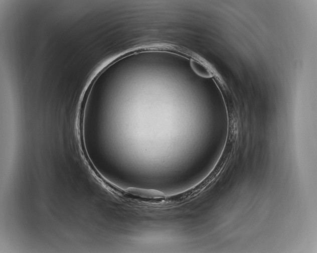 X0000116610959200912111131