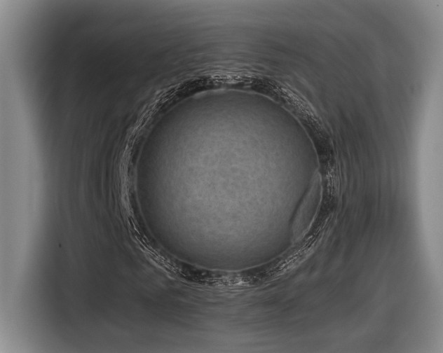 X0000116610961200912111131