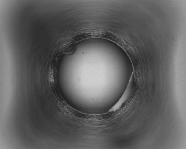 X0000116610962200912111131