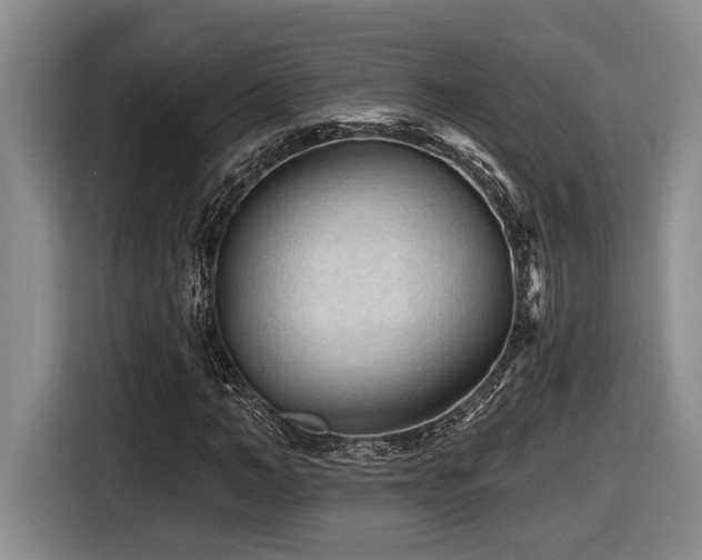 X0000116610966200912111131