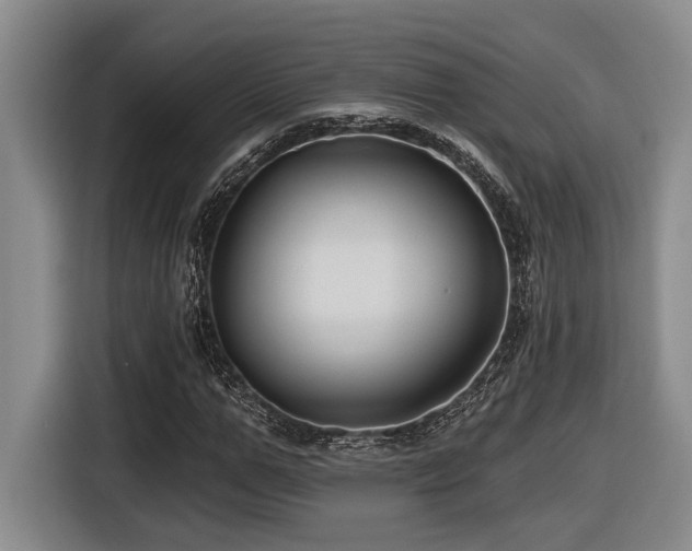 X0000116610967200912111131