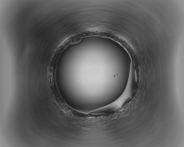X0000116610968200912111131