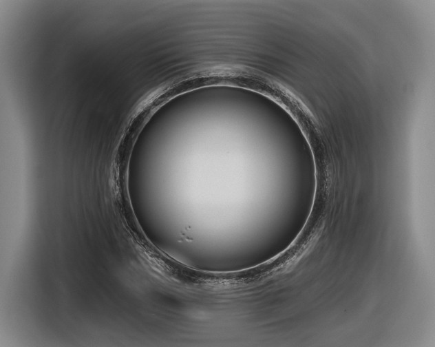 X0000116610970200912111131