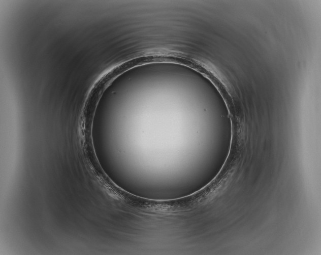 X0000116610971200912111131