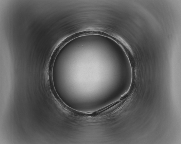 X0000116610972200912111131