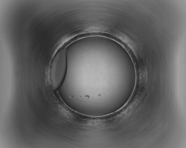 X0000116610973200912111131