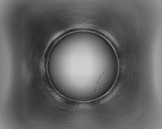 X0000116610974200912111131