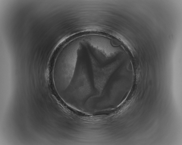 X0000116610975200912111131