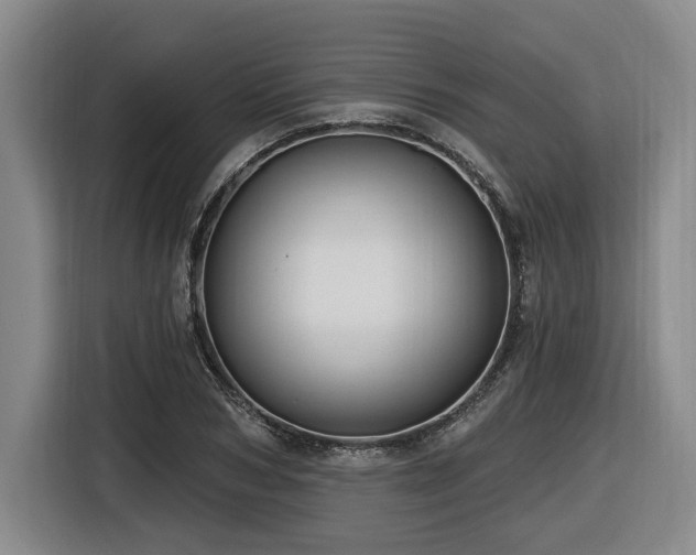 X0000116610978200912111131