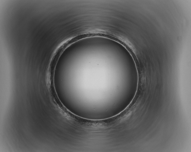 X0000116610979200912111131