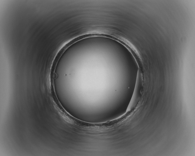 X0000116610980200912111130