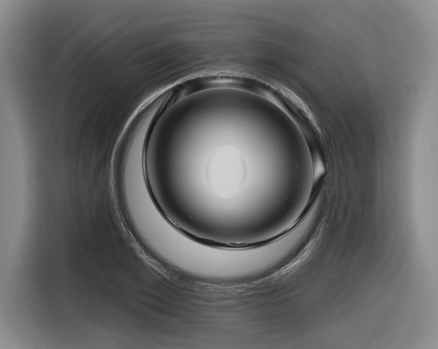 X0000116610981200912111130