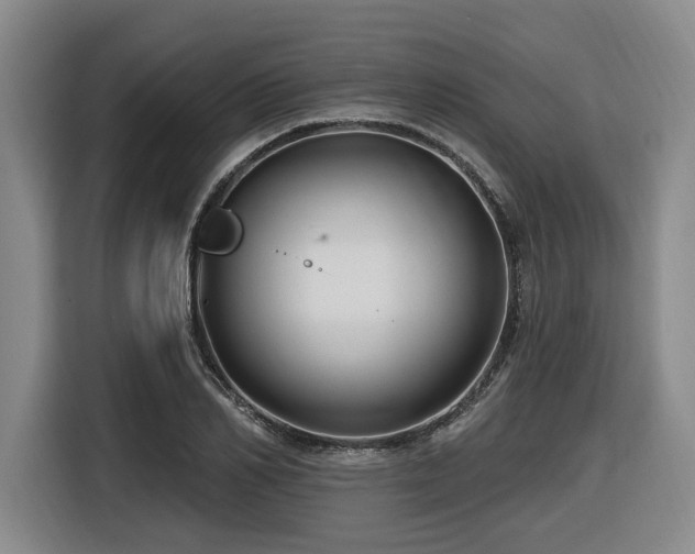 X0000116610982200912111130