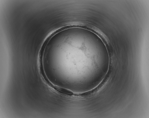 X0000116610983200912111130